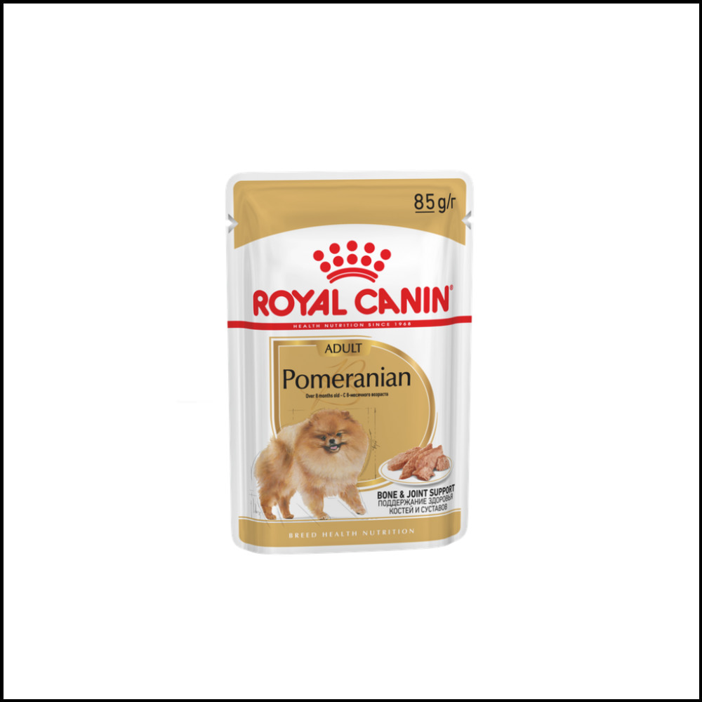 Royal canin maine coon